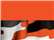 Burnt Orange/ Burnt Orange Camo