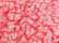 Fire Coral Heather