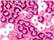 Power Pink