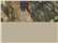Mossy Oak Obsession/ Khaki