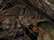 Mossy Oak Break-Up Country/ Stars & Stripes
