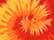 Blaze