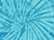 Spider Turquoise