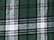 Green/ White Plaid