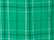 Kelly Field Day Plaid