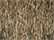 Bottomland