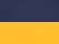 Navy/ Gold