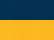 Navy/ Gold