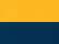 Gold/ Navy