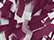 Maroon/ White