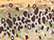 Trout Spots/ Brown