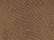 Brown Reptile