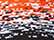 Black/ White/ Deep Orange