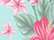 Hawaiin Biome