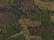 Green Camo