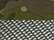 Multicam Tropic/ Green