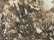 Realtree Edge