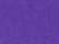 Campus Purple