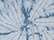 Spider Denim
