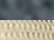 Navy/ Tan