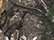 Realtree APX Camo