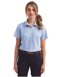 Artisan Collection by Reprime   Women's Microcheck Gingham Short Sleeve Cotton Dress Shirt