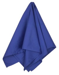 Big Accessories Bandana