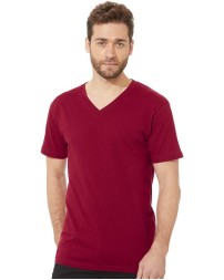 Next Level Cotton V-Neck T-Shirt