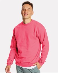 Hanes Ecosmart Crewneck Sweatshirt