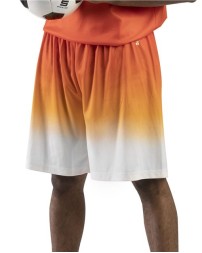 Badger Ombre Shorts