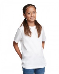 3310 Next Level Apparel Youth Boys Cotton Crew