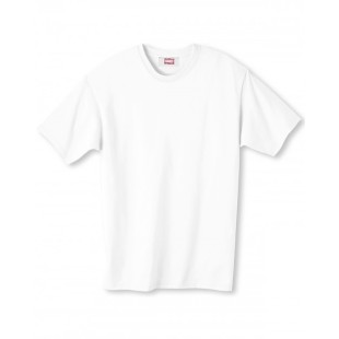 Hanes Unisex Perfect-T T-Shirt