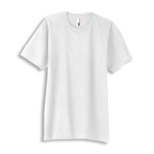 Gildan Adult Softstyle T-Shirt